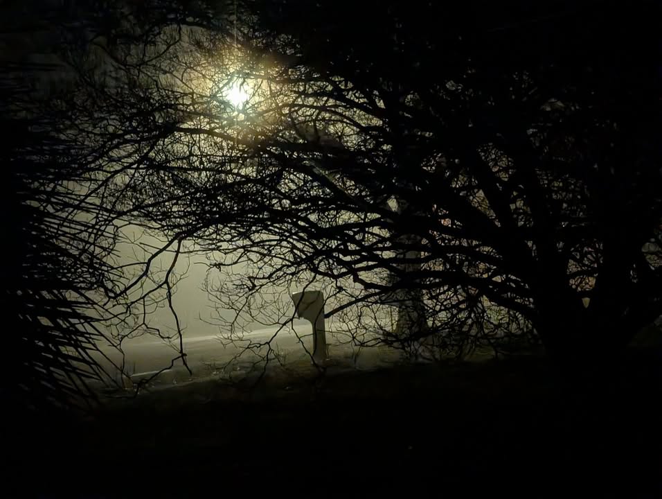 Dillon County News & Beyond