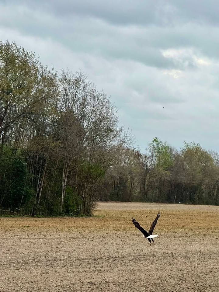 Dillon County News & Beyond