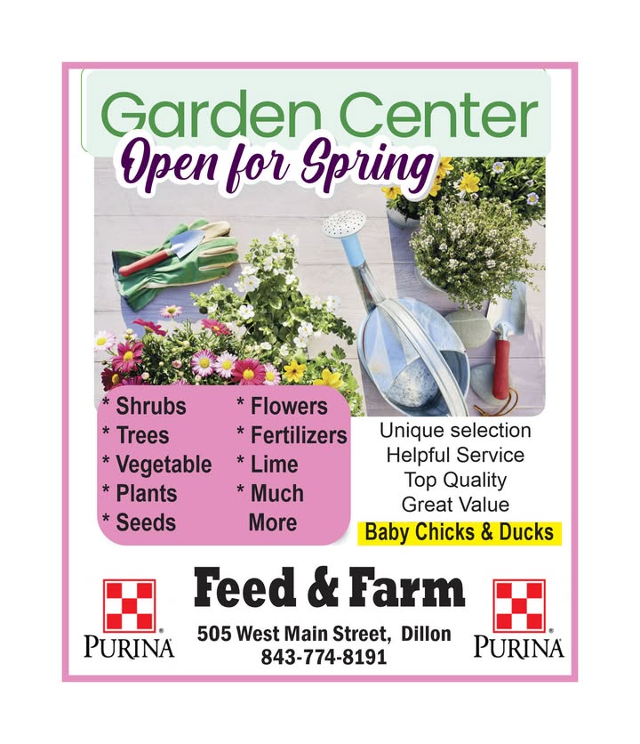 Dillon County News & Beyond