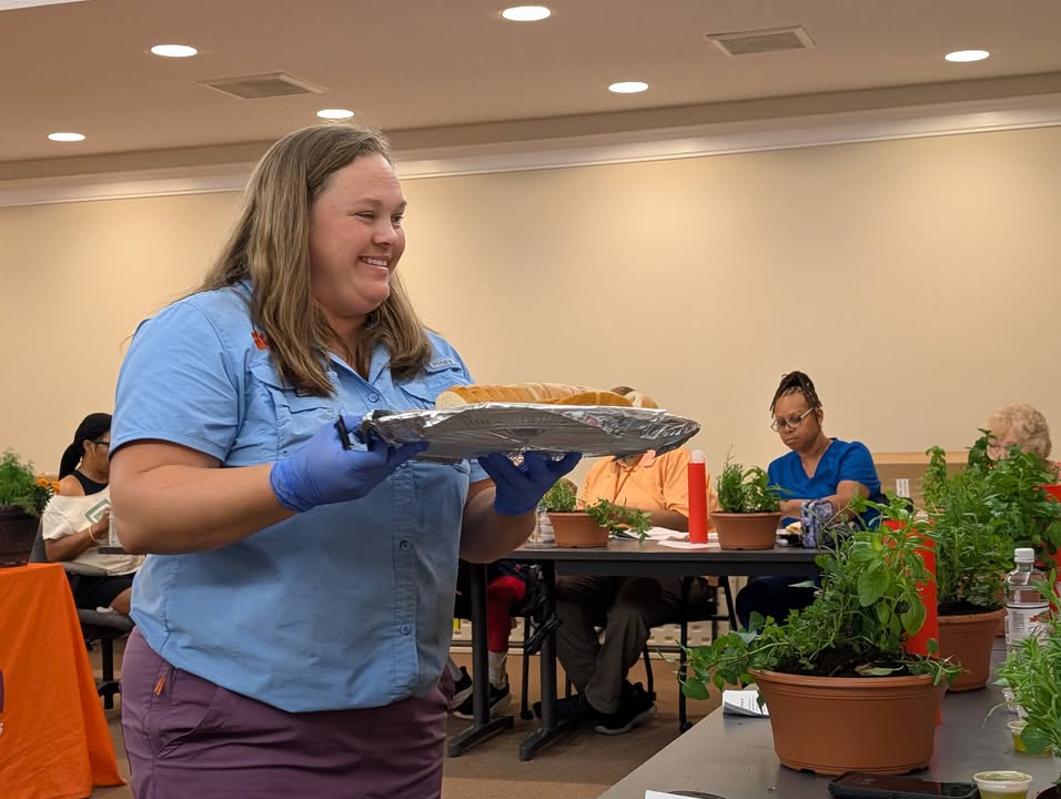 Dillon County News & Beyond